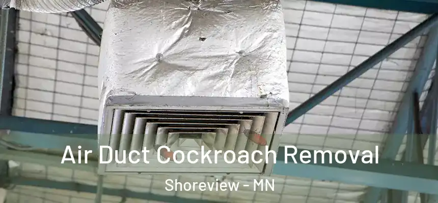  Air Duct Cockroach Removal Shoreview - MN