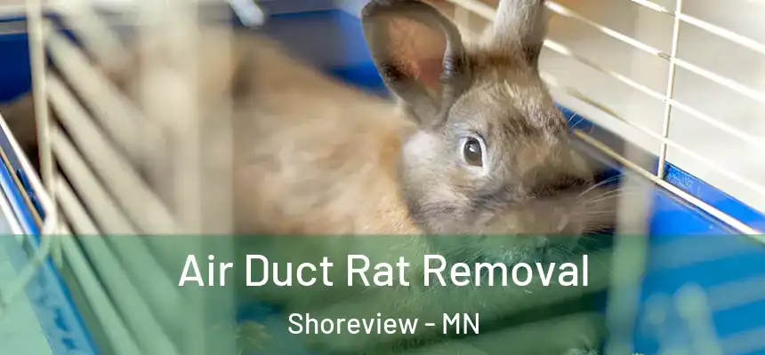 Air Duct Rat Removal Shoreview - MN
