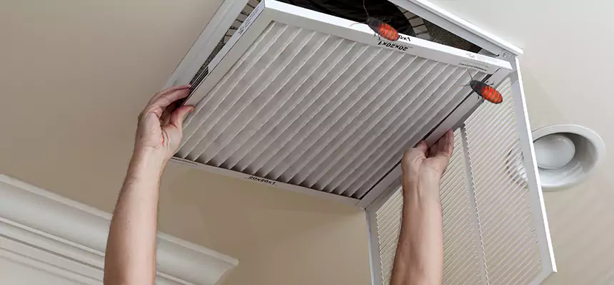 Preventive Cockroach-Proofing for Ducts in Shoreview
