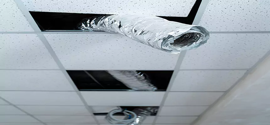 Affordable HVAC Sanitizing After Pest Removal in Shoreview