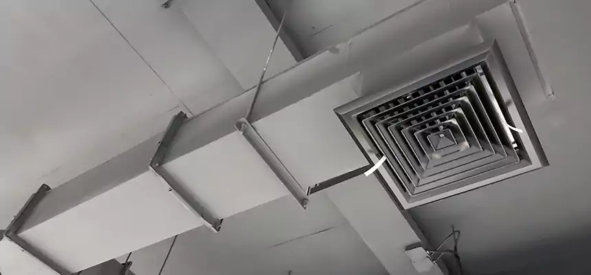 Our Rodent Droppings In Vents Services in Shoreview, MN