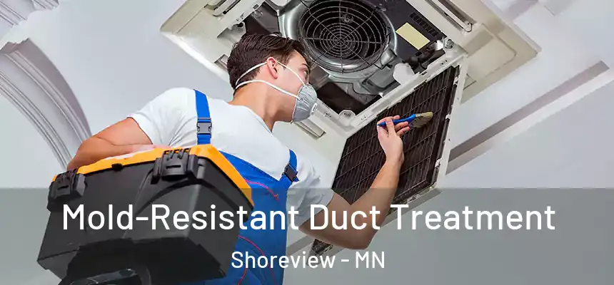 Mold-Resistant Duct Treatment Shoreview - MN