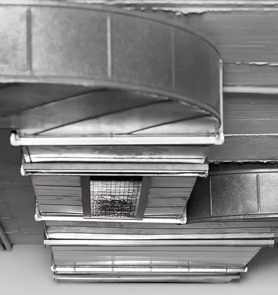 Professional Air Duct Pest Removal in Shoreview, MN