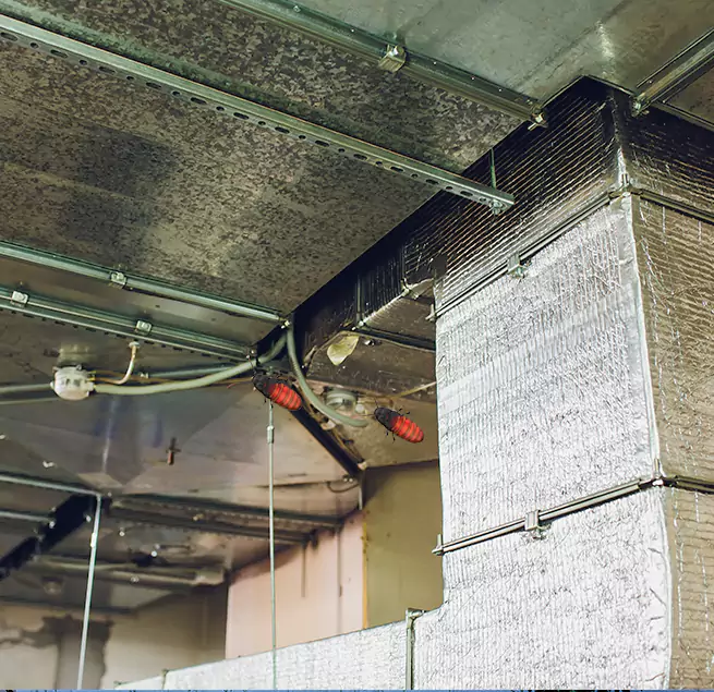 Why Homeowners & Businesses Trust Us in Shoreview, MN?