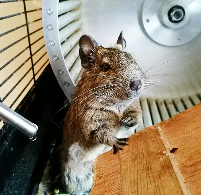 Why Homeowners & Businesses Trust Us Shoreview, MN