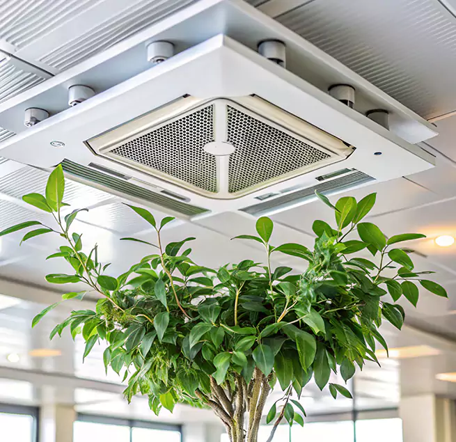 Why Homeowners & Businesses Trust Us in Shoreview, MN?